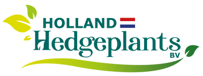 Holland Hedgeplants B.V.