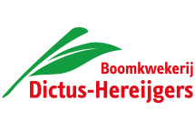 Dictus-Hereijgers, Boomkwekerij